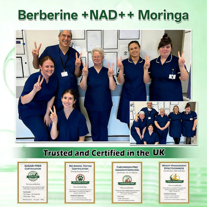 Moringa Berberine x NAD+ 10-in-1🚀 Advanced Nano Microneedle Patch | Ultra